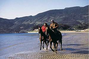 Hirado Hotel Ranpu image