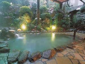 Inasayama Kanko Hotel image