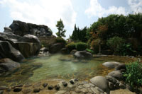 Kirishima Daiichi Hotel Spahills image