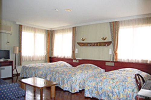 Western style room photo