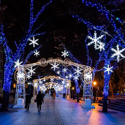 Midosuji Illumination photo