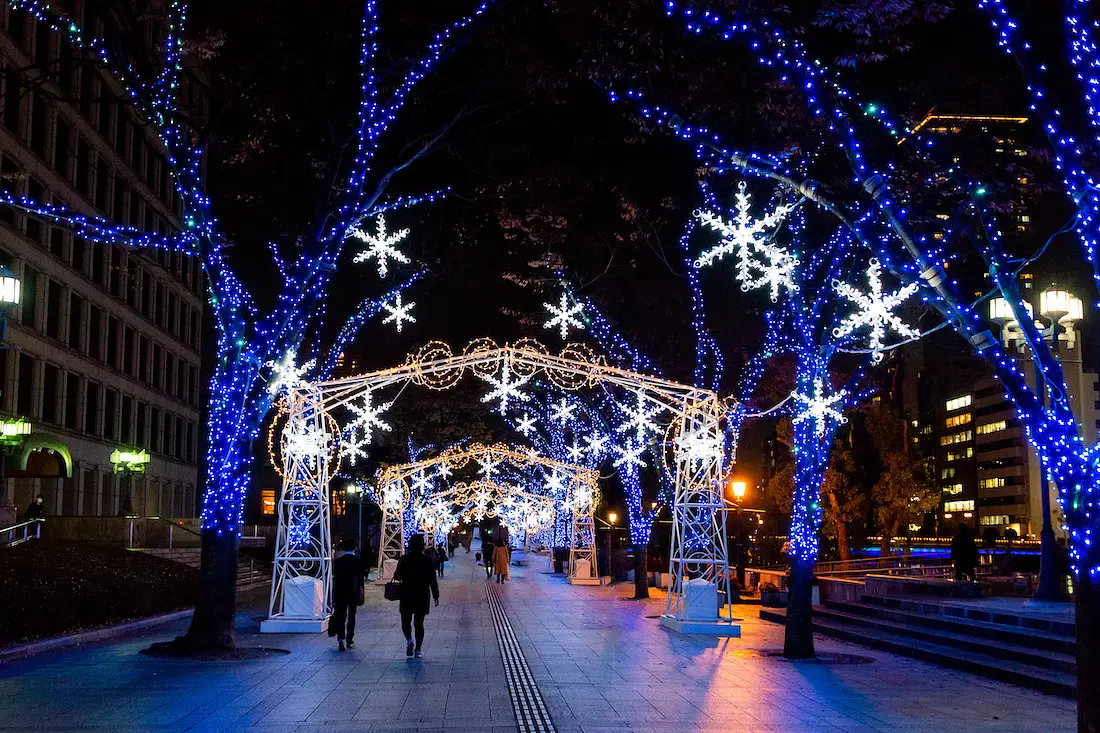 Midosuji Illumination photo