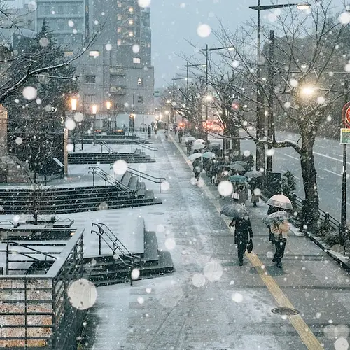January Events in Tokyo  photo