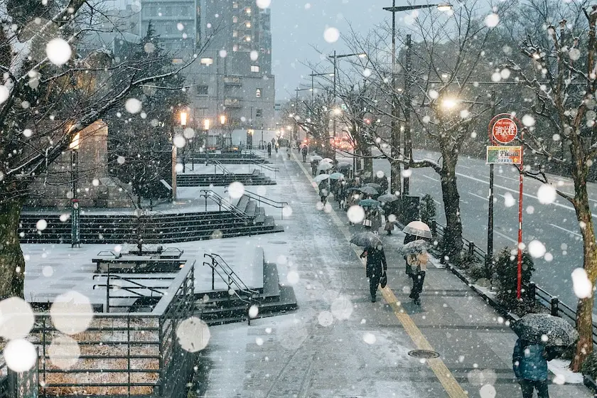 January Events in Tokyo  photo