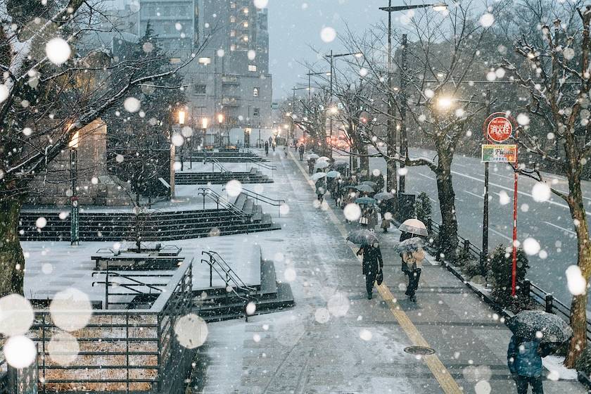 January Events in Tokyo  photo