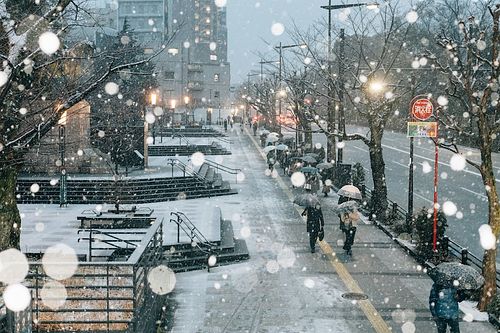 January Events in Tokyo photo