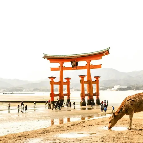 Events in Hiroshima photo