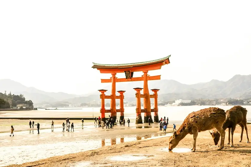 Events in Hiroshima photo