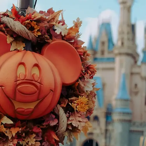 Tokyo Disney Halloween photo