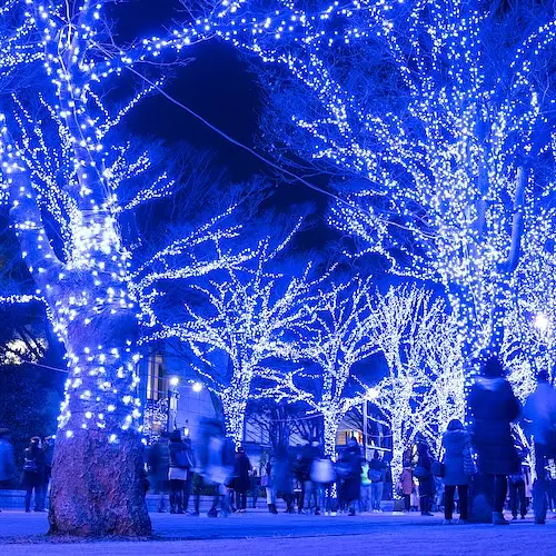 Experience Shibuya’s Blue Cave: Winter Light Show  photo