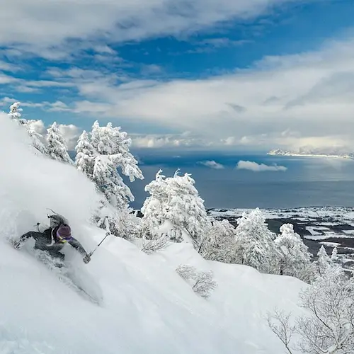 Skiing in Japan: Epic Powder & Top Resorts photo