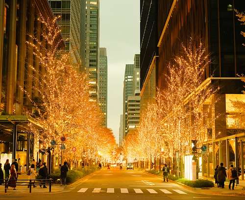 Marunouchi Illumination photo