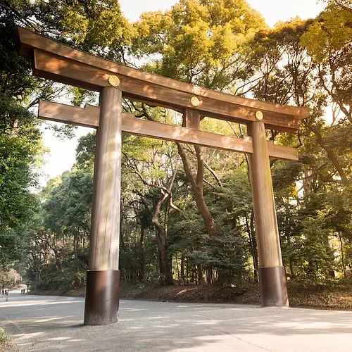 Yoyogi park flea market photo
