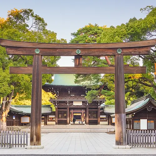 Visit Meiji Shrine: Tokyo’s Iconic Sanctuary photo