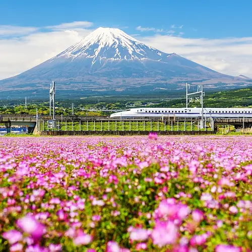 Trains in Japan photo
