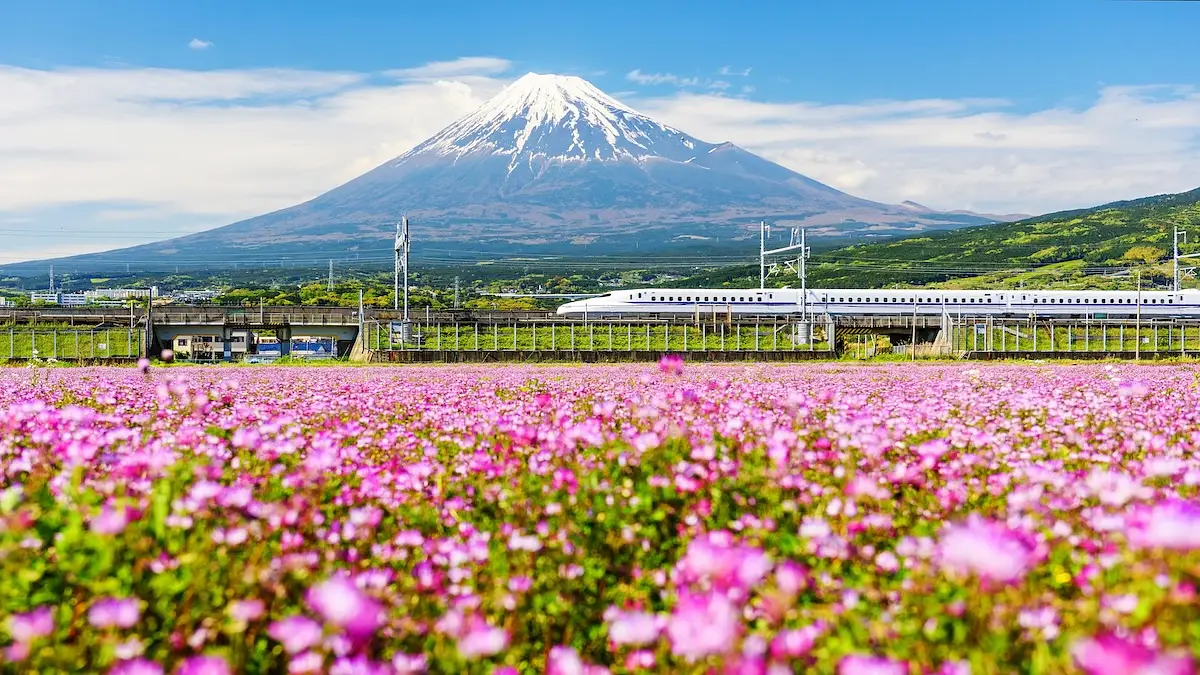 Trains in Japan photo