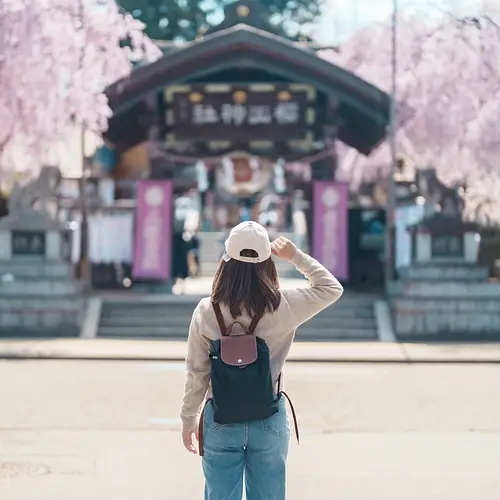 5-Day Solo Japan Itinerary for Women  photo