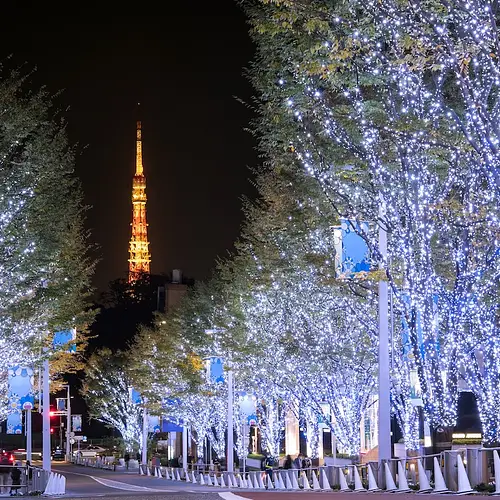 Japan Christmas Lights photo