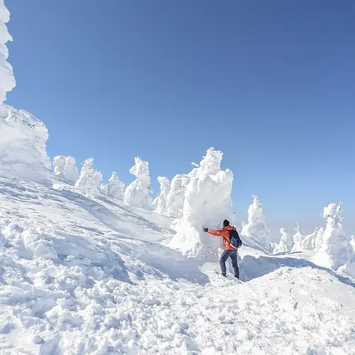 Snow Monsters Japan photo