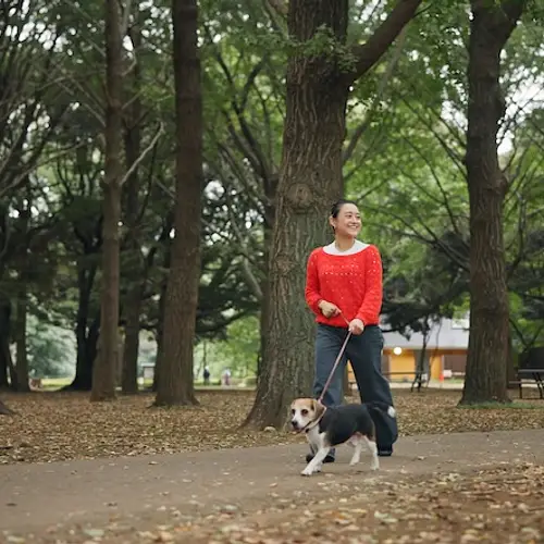 7-Day Itinerary With Your Dog: Is Japan Dog Friendly?  photo