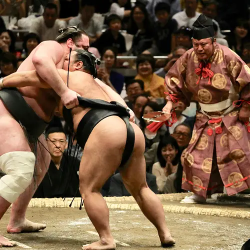 Tokyo Sumo Practice – Stable Tours & Booking Guide  photo