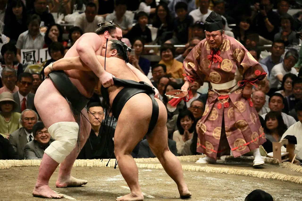 Tokyo Sumo Practice – Stable Tours & Booking Guide  photo