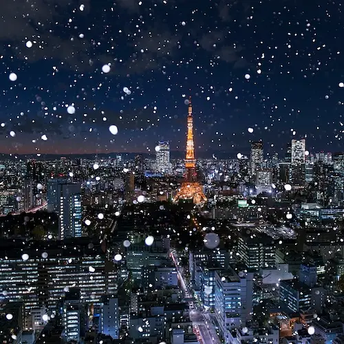 Does It Snow in Tokyo?  photo