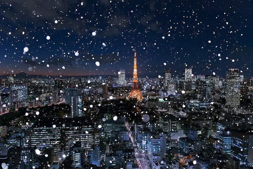 Does It Snow in Tokyo?  photo