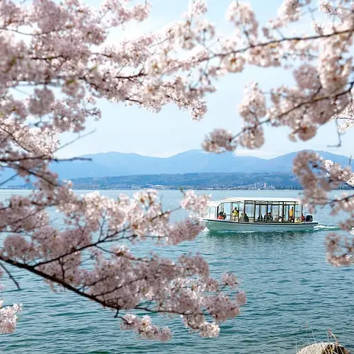 When Is the Best Time to Go to Japan photo