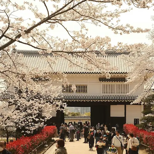 Spring in Japan photo