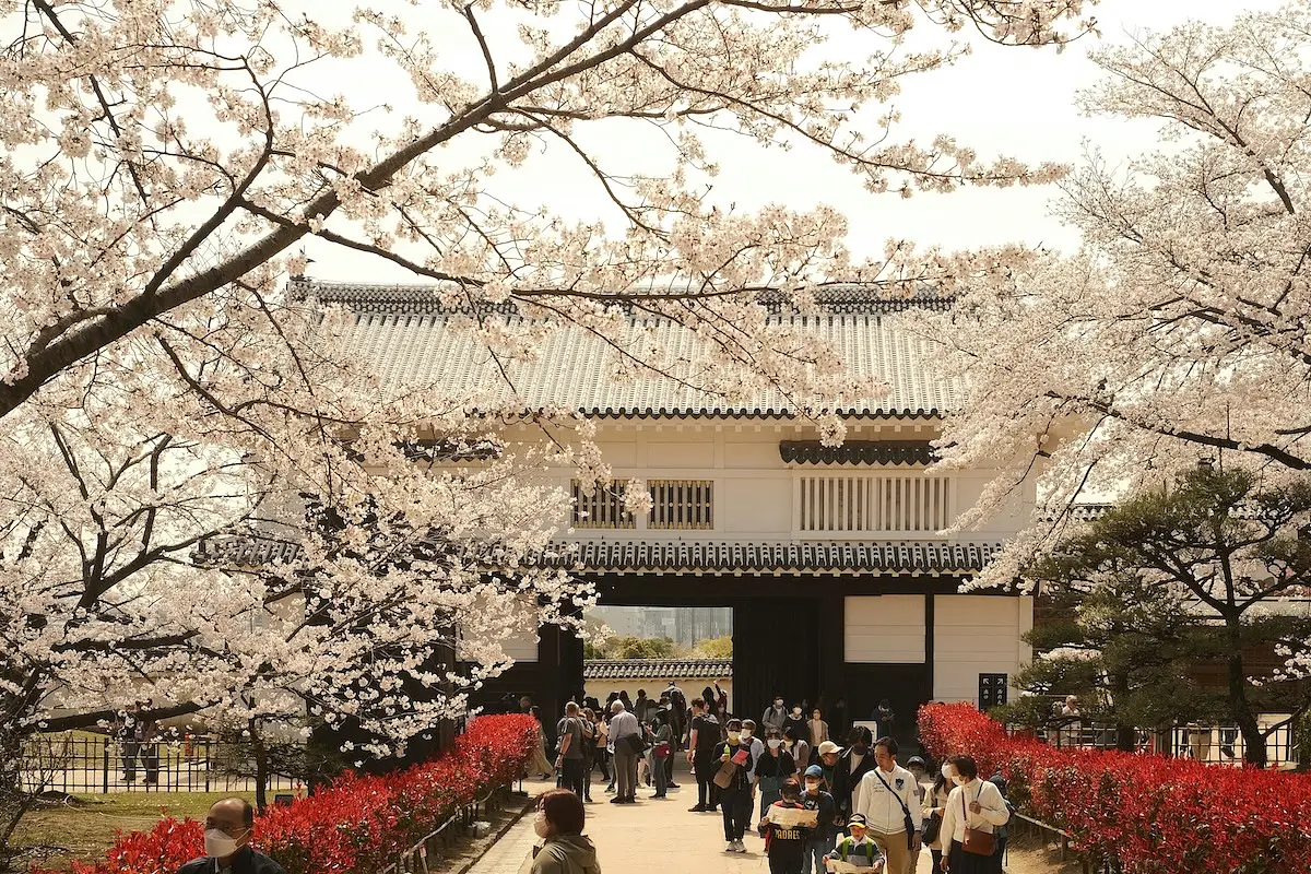 Spring in Japan photo