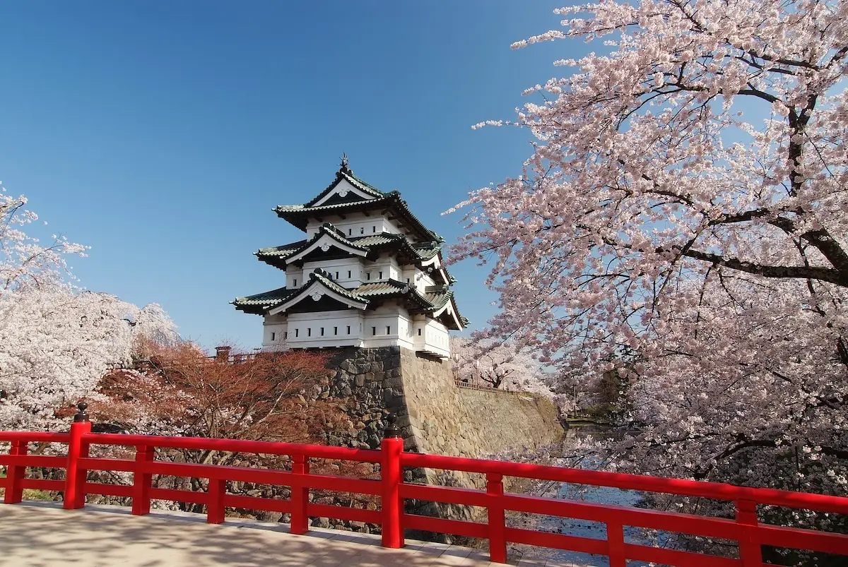 Hirosaki Cherry Blossom Festival photo