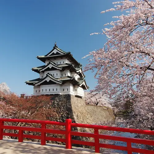Hirosaki Cherry Blossom Festival photo