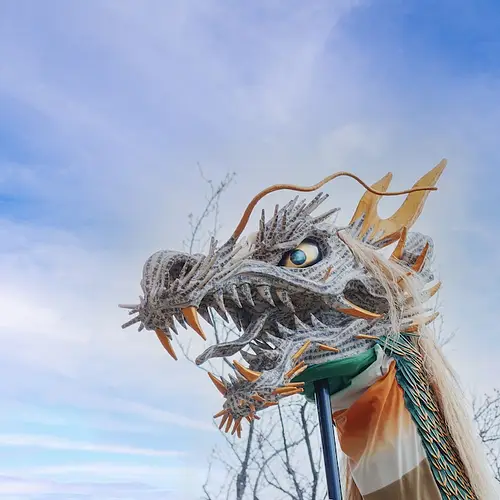 Seiryu-e Festival photo