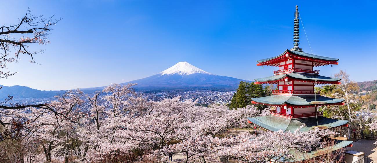 Staying in Japan During Cherry Blossom Season photo