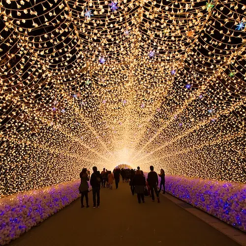 Christmas Lights in Japan: Winter Illuminations photo