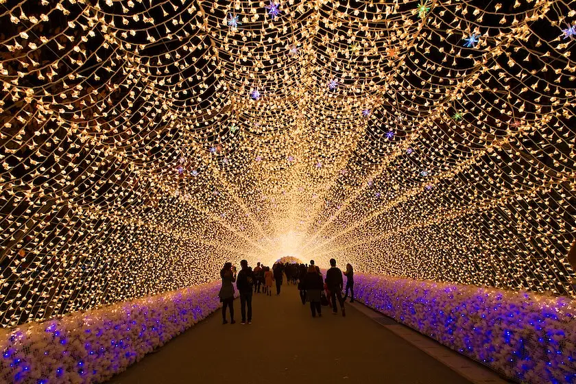 Christmas Lights in Japan: Winter Illuminations photo