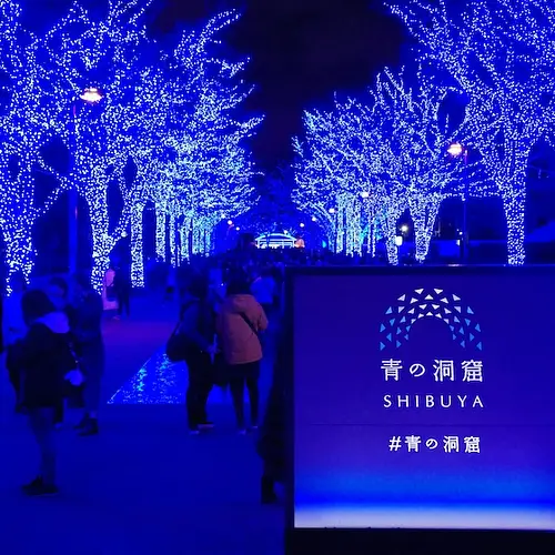 Shibuya Blue Cave Illumination: Tokyo’s Winter Light Show photo