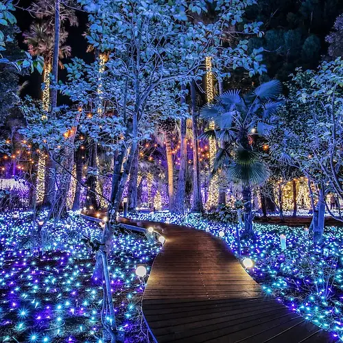 Winter Illumination Japan: The Best Light Displays to See This Season photo
