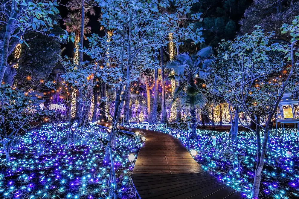 Winter Illumination Japan: The Best Light Displays to See This Season photo