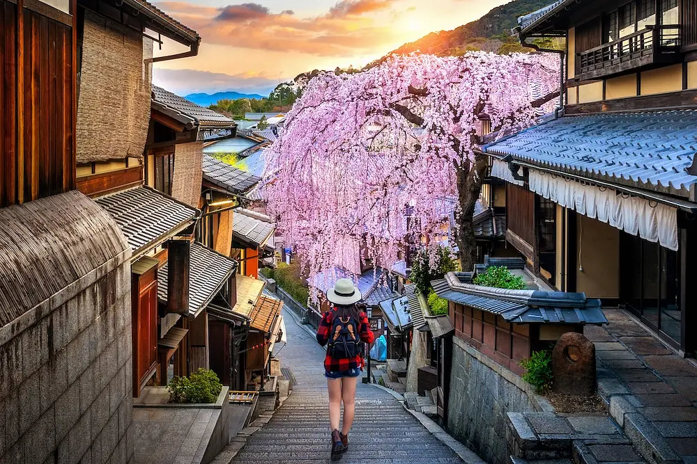 Japan Visitor Numbers Dip in May — What It Means for Your Trip photo