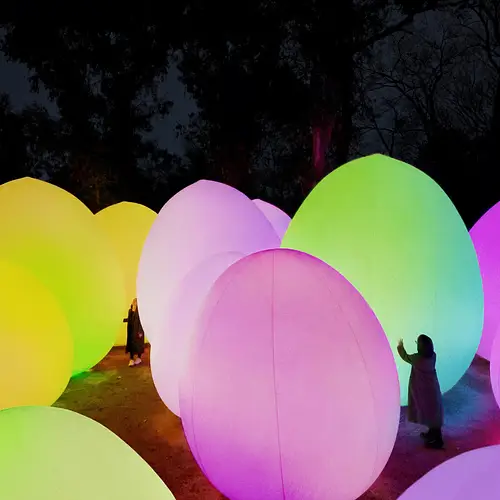 teamLab Botanical Garden Osaka: A Guide to the Night Exhibition at Nagai Botanical Garden photo