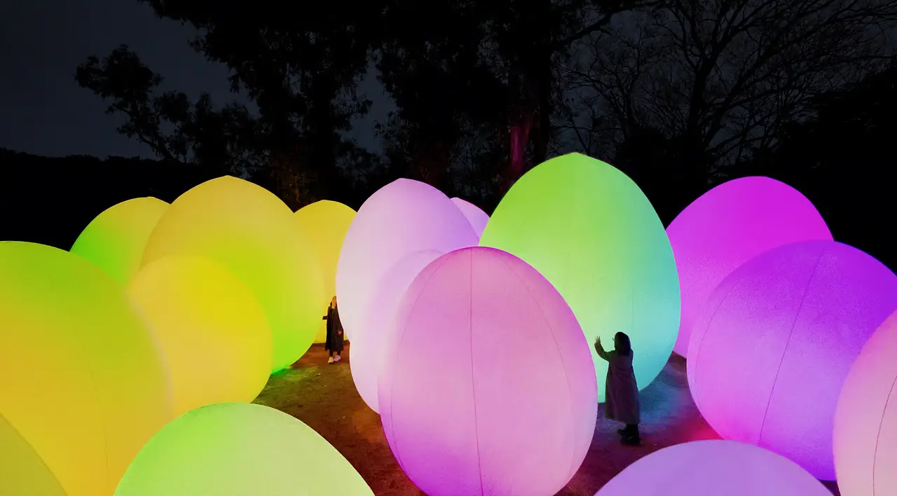 teamLab Botanical Garden Osaka: A Guide to the Night Exhibition at Nagai Botanical Garden photo