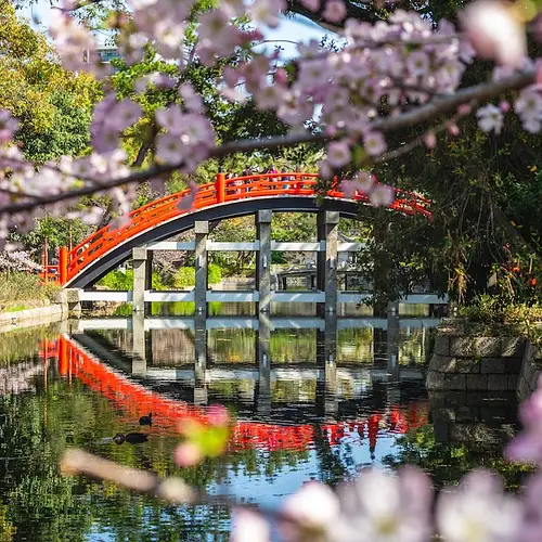 Sumiyoshi Matsuri: Osaka's Oldest Shrine Festival  photo