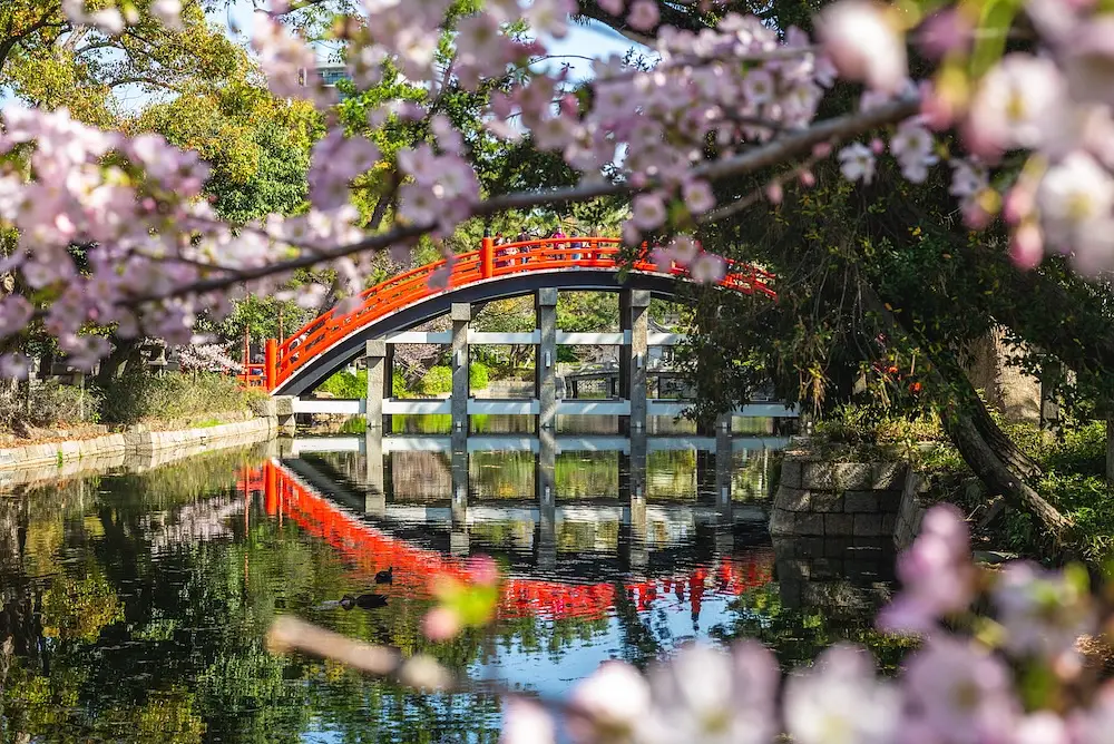 Sumiyoshi Matsuri: Osaka's Oldest Shrine Festival  photo