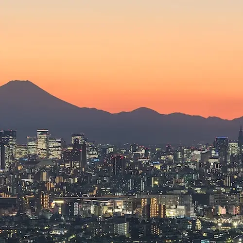 Architecture in Tokyo: A Design-Lover's Guide to the City's Built History photo