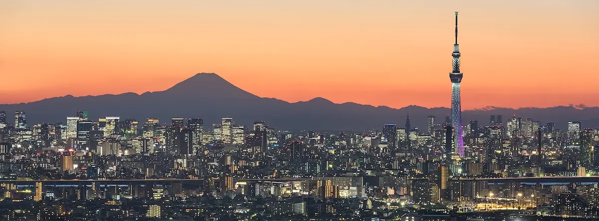Architecture in Tokyo: A Design-Lover's Guide to the City's Built History photo
