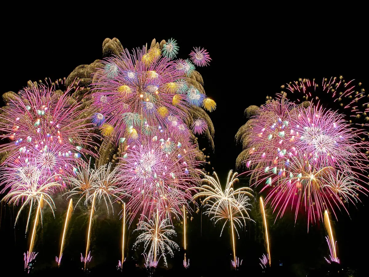 Tsuchiura All Japan Fireworks Competition photo