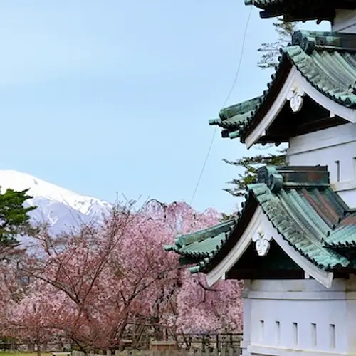 Japan Moved A 400-Tonne Castle By Hand  photo
