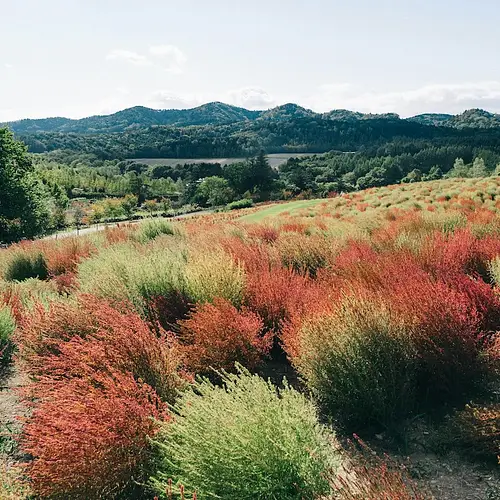 Mountains in Hokkaido: Asahidake, Daisetsuzan, and Japan's First Autumn Colours photo